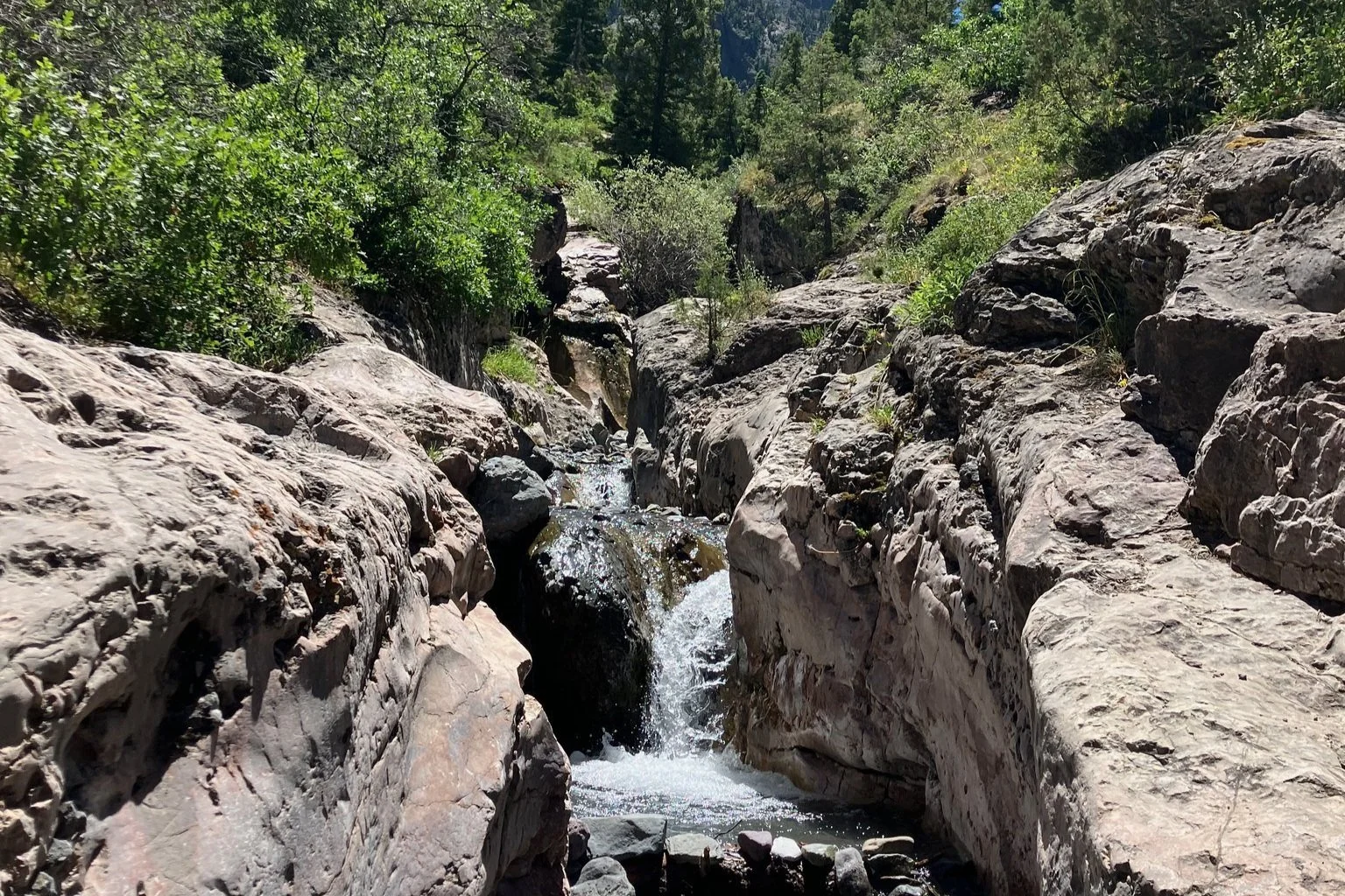 Mountain Yoga Retreat